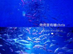 -成都浩海立方海洋公园