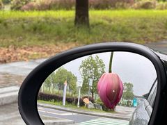 -陶辛水韵