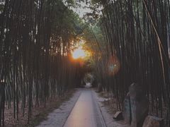 -上海市龙华烈士陵园