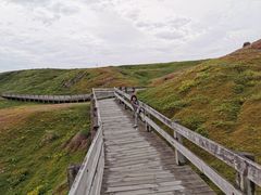 -企鹅岛