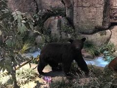 -陕西自然博物馆