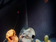 -深圳珠宝博物馆