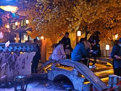 -淀里船宴(裕华东路店)