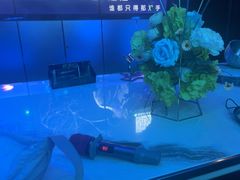 -IN·SHOW 迎秀KTV(达镖广场店)