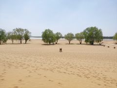 -黄沙古渡原生态旅游区