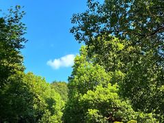 -南京市江宁方山