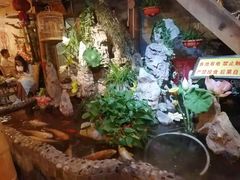 -多哥水傣味餐厅(司马巷店)