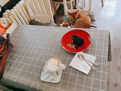 -海边的猫和咖啡馆