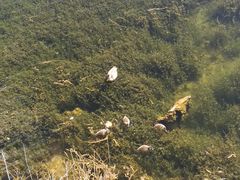 -千姿湖生态旅游景区