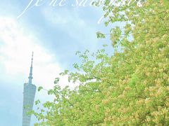 -海心沙亚运公园