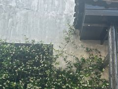 -靖港古镇