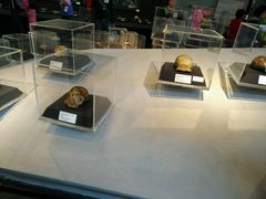 -北京周口店北京人遗址博物馆