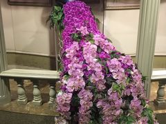 -彩虹云霄拜约克摩天塔