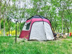 -天津东丽湖风景区