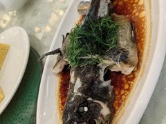 清蒸石斑鱼-外沙疍家棚酒楼