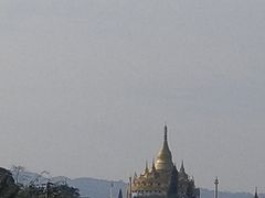 -打洛口岸