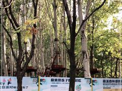 -朝阳公园游乐园