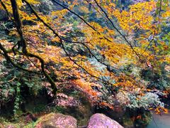 -龙苍沟森林公园