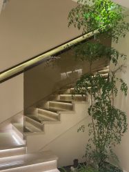 -普洛蒂亚·科技美肤中心