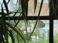 -北马山庄植趣咖啡