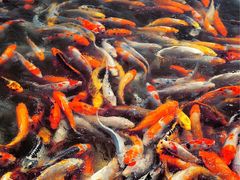 圣蓝海洋公园-北戴河圣蓝海洋公园