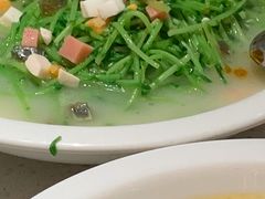 上汤豆苗-江渔儿酸菜鱼(曜一城店)