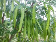 android_upload_pic-西昌邛海湿地