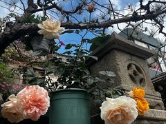 -三溪村