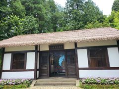 -庐山风景区花径公园