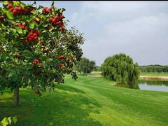 -龙熙温泉高尔夫俱乐部