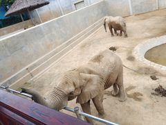 -西霞口神雕山野生动物世界