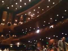 android_upload_pic-天桥杂技剧场