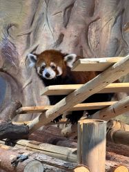 -Zoolung Zoolung动物主题公园(海信广场店)