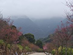 -福清灵石山国家森林公园