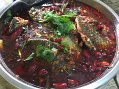 -风鑫铃罗非鱼(道沟店)