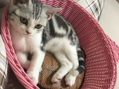 -宠颐生中康贝怡动物医院