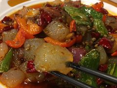 -川东长筷子耗儿鱼(万象润街店)