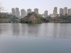 -重庆彩云湖湿地公园