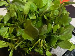-淼福猪肚鸡·椰子鸡火锅(大沙地店)
