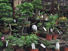-梅陇花鸟市场-停车场