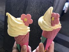 -麦当劳(金桥店)