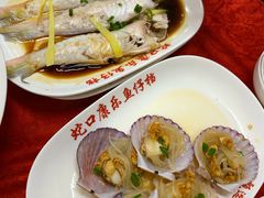 -蛇口康乐快餐鱼仔档(翠苑小区店)