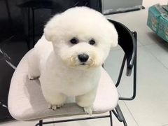 -联合动物医院(光谷诊疗中心)