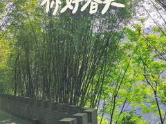 -铁山坪森林公园