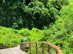 -重庆武隆天生三桥风景区-神鹰天坑