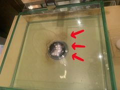 -上海柏悦酒店