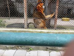 -哈尔滨北方森林动物园