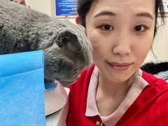 -美联众合爱康动物医院•复杂内科•肿瘤科•牙科•腔镜诊疗中心