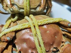 -黄记大闸蟹专卖店·活蟹·醉蟹