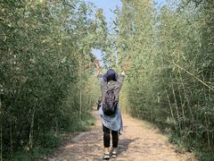 -竹泉村旅游度假区
